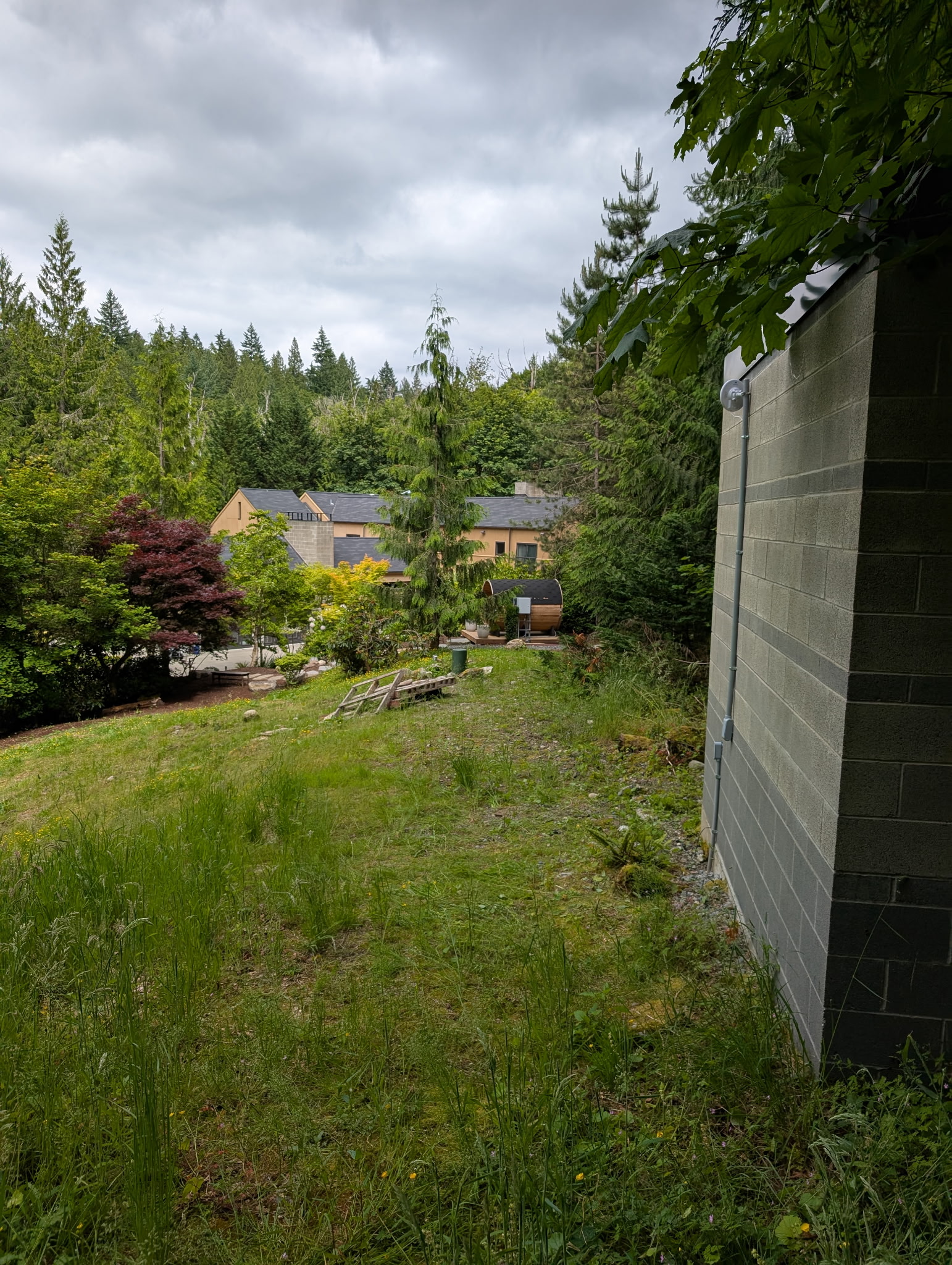 Large wooded property with exterior security device on structure, Pacific Northwest estate